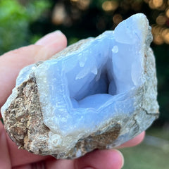 Chalcedon