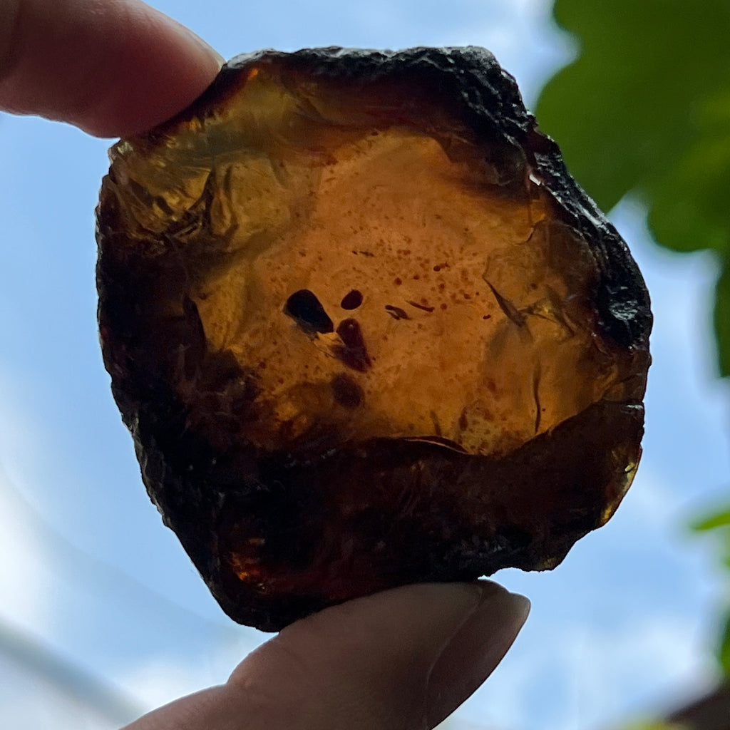 Chihlimbar fosil din Indonezia – Rășină naturală | Model 6, pietre semipretioase - druzy.ro 1 