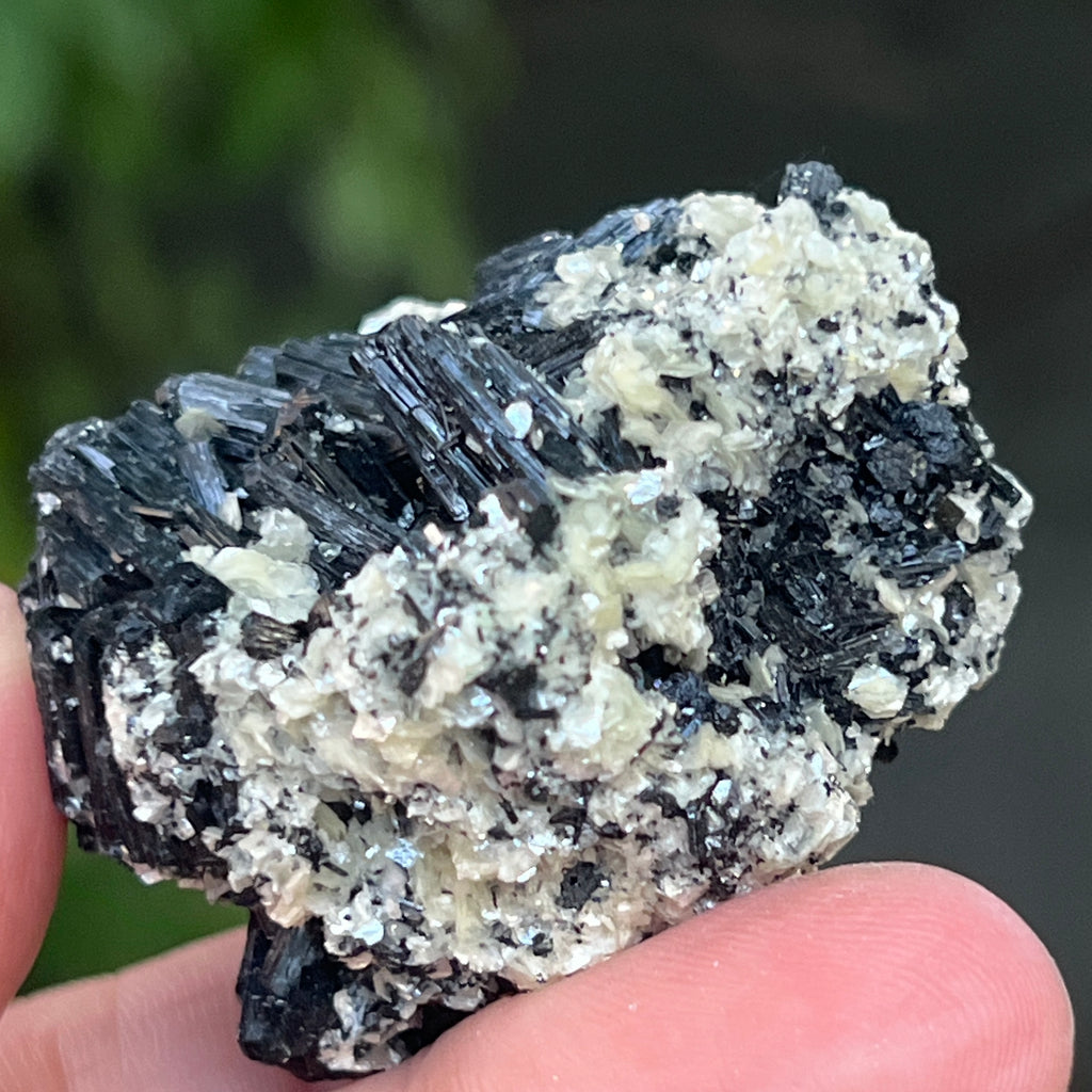 Cluster turmalina neagra cu vermiculita din Erongo m19, pietre semipretioase - druzy.ro 14 