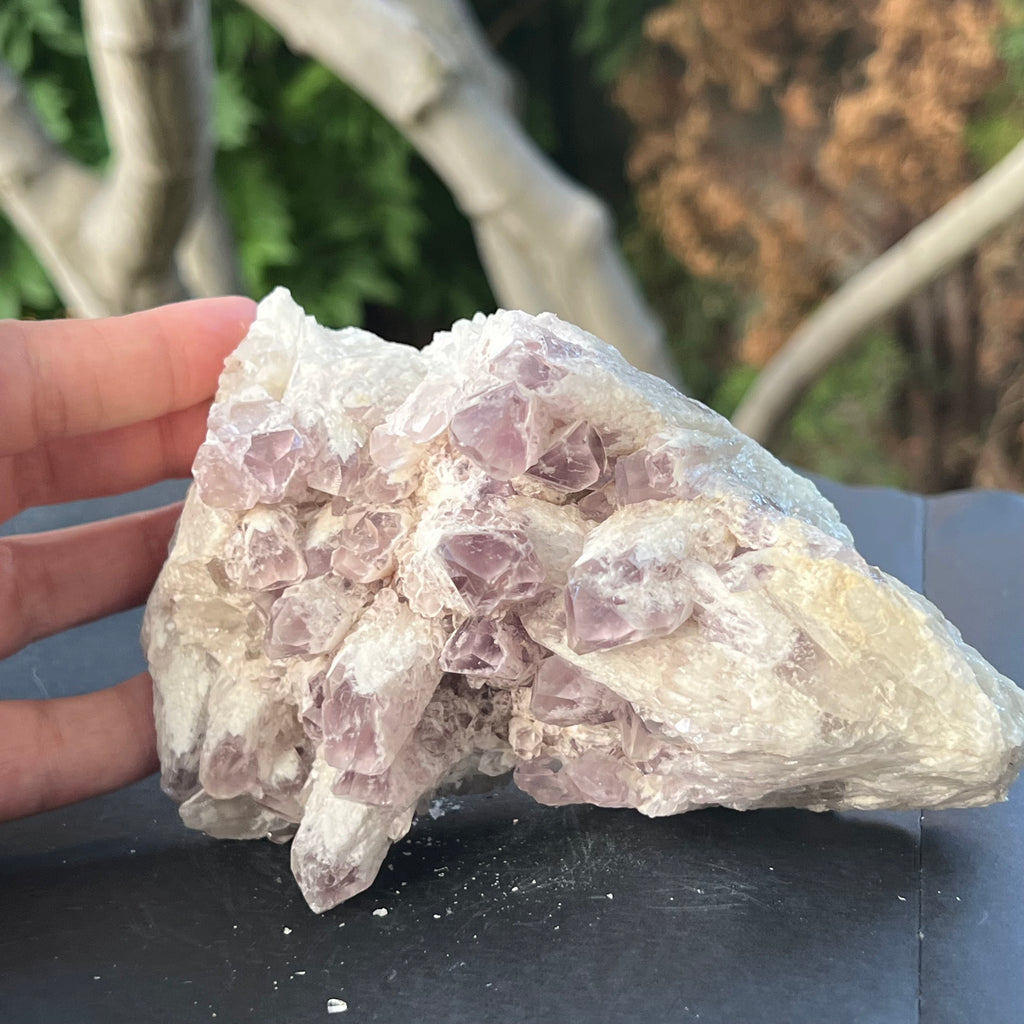Cluster ametist sweet model 5a/10, din Zambia, druzy.ro, cristale 5