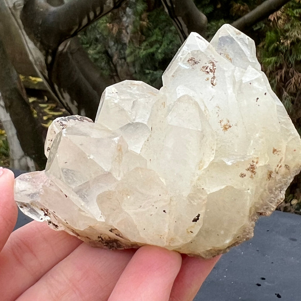 Cluster cuart incolor, floare de mina, cristal de stanca Zimbabwe m6, druzy.ro, cristale 5