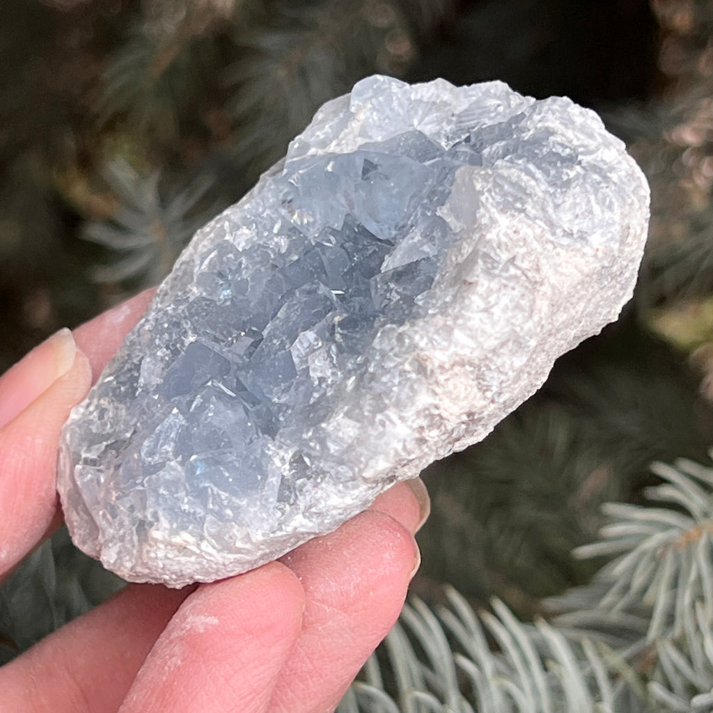Celestit / celestina cluster m22, pietre semipretioase - druzy.ro 4 