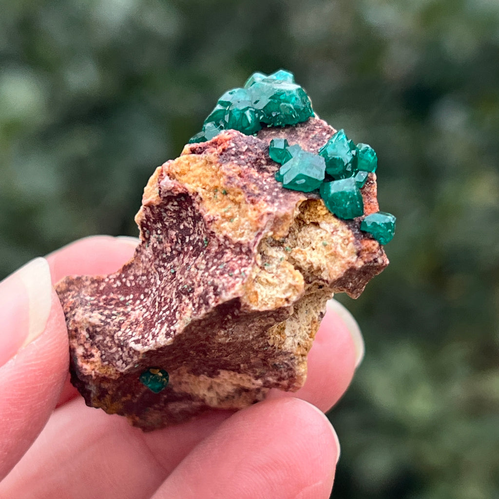 Dioptaz cluster din Congo model 30, pietre semipretioase - druzy.ro 4 