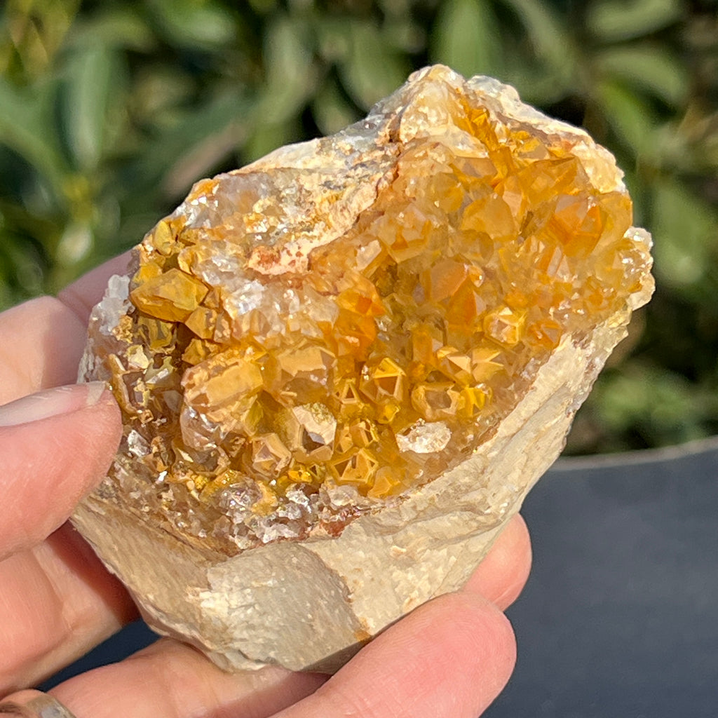 Cluster cuart lamaie Zambia, golden healer model 50, pietre semipretioase - druzy.ro 2 