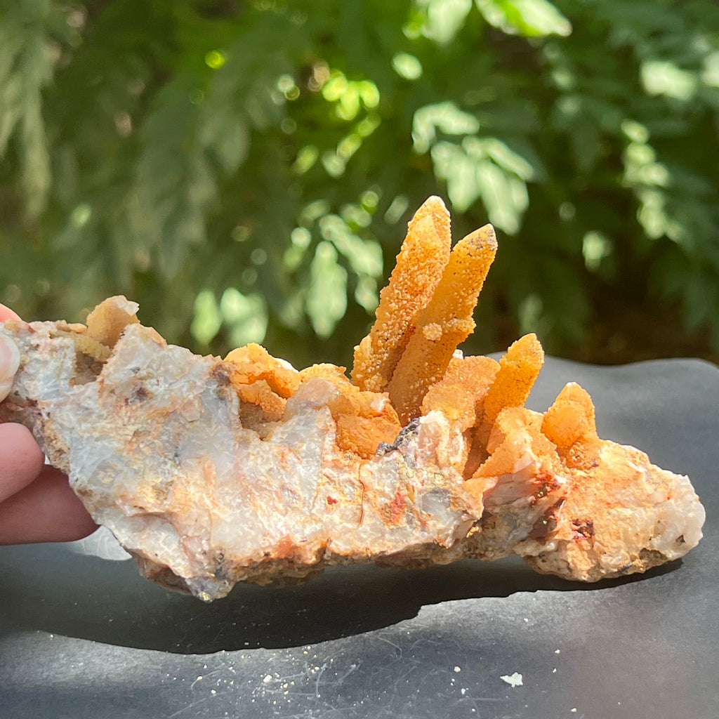 Cluster cuart lamaie, golden healer 4A/3, Africa de Sud, druzy.ro, pietre semipretioase 8