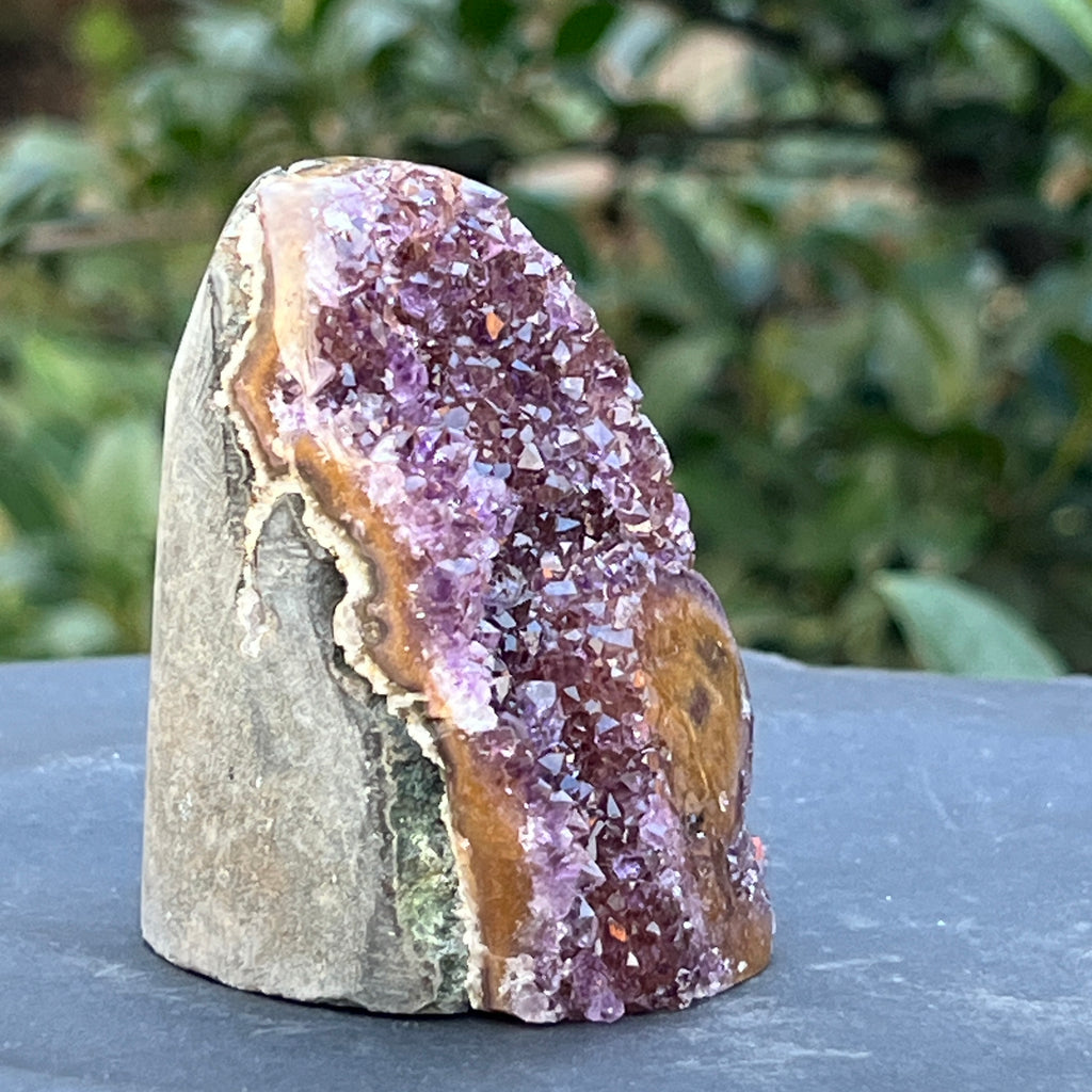 Ametist stalactit calitate +AAA, geoda ametist Uruguay, m13, pietre semipretioase - druzy.ro 3 