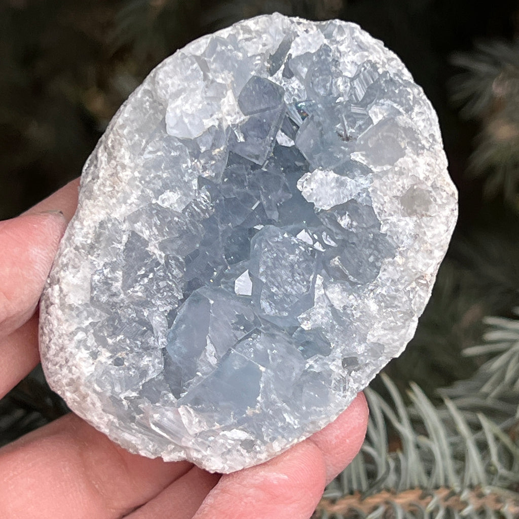 Celestit / celestina cluster m22, pietre semipretioase - druzy.ro 6 
