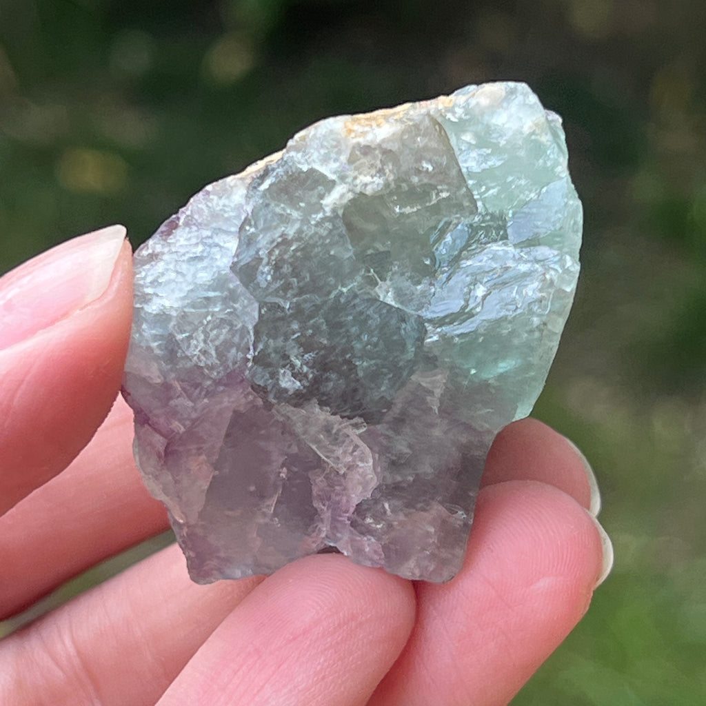 Fluorit piatra bruta din Namibia Africa model 8, pietre semipretioase - druzy.ro 3 