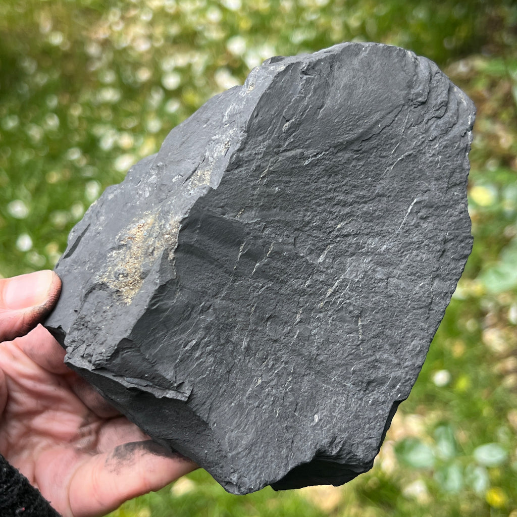 Shungit piatra bruta XXL model 6, pietre semipretioase - druzy.ro 4 
