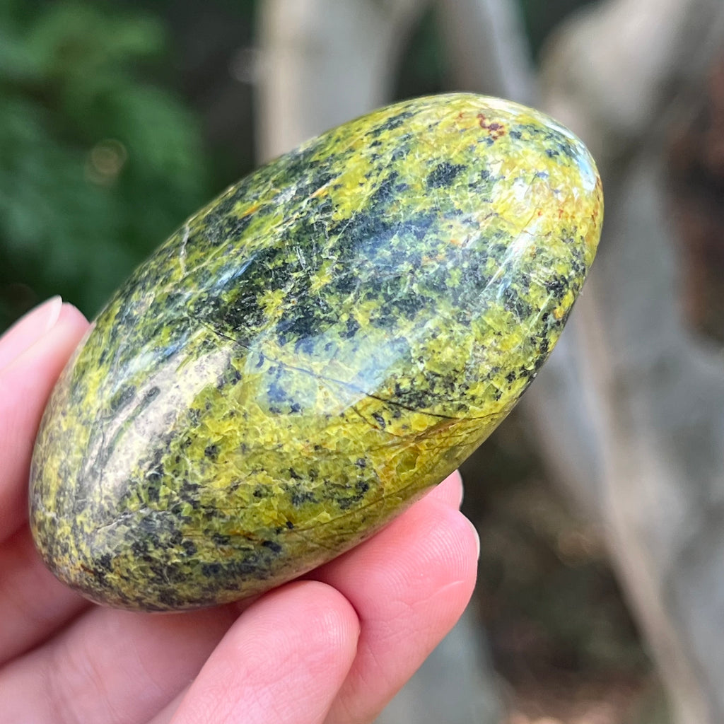 Opal verde palmstone m10, pietre semipretioase - druzy.ro 5 