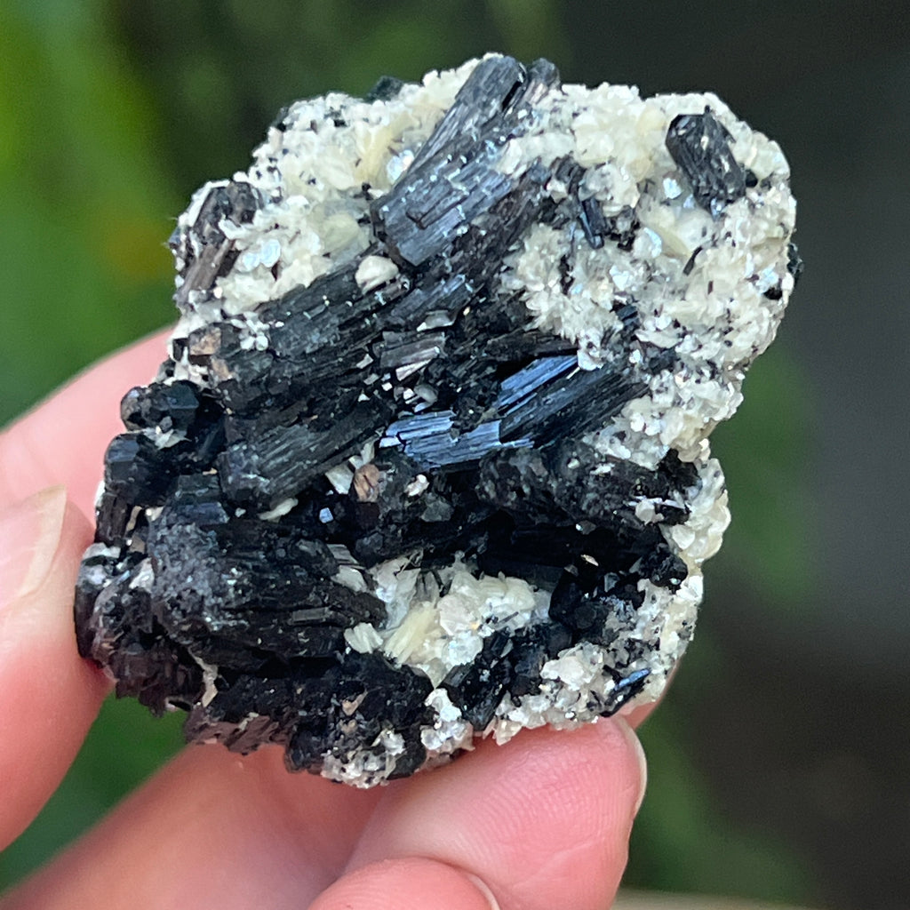 Cluster turmalina neagra cu vermiculita din Erongo m19, pietre semipretioase - druzy.ro 1 