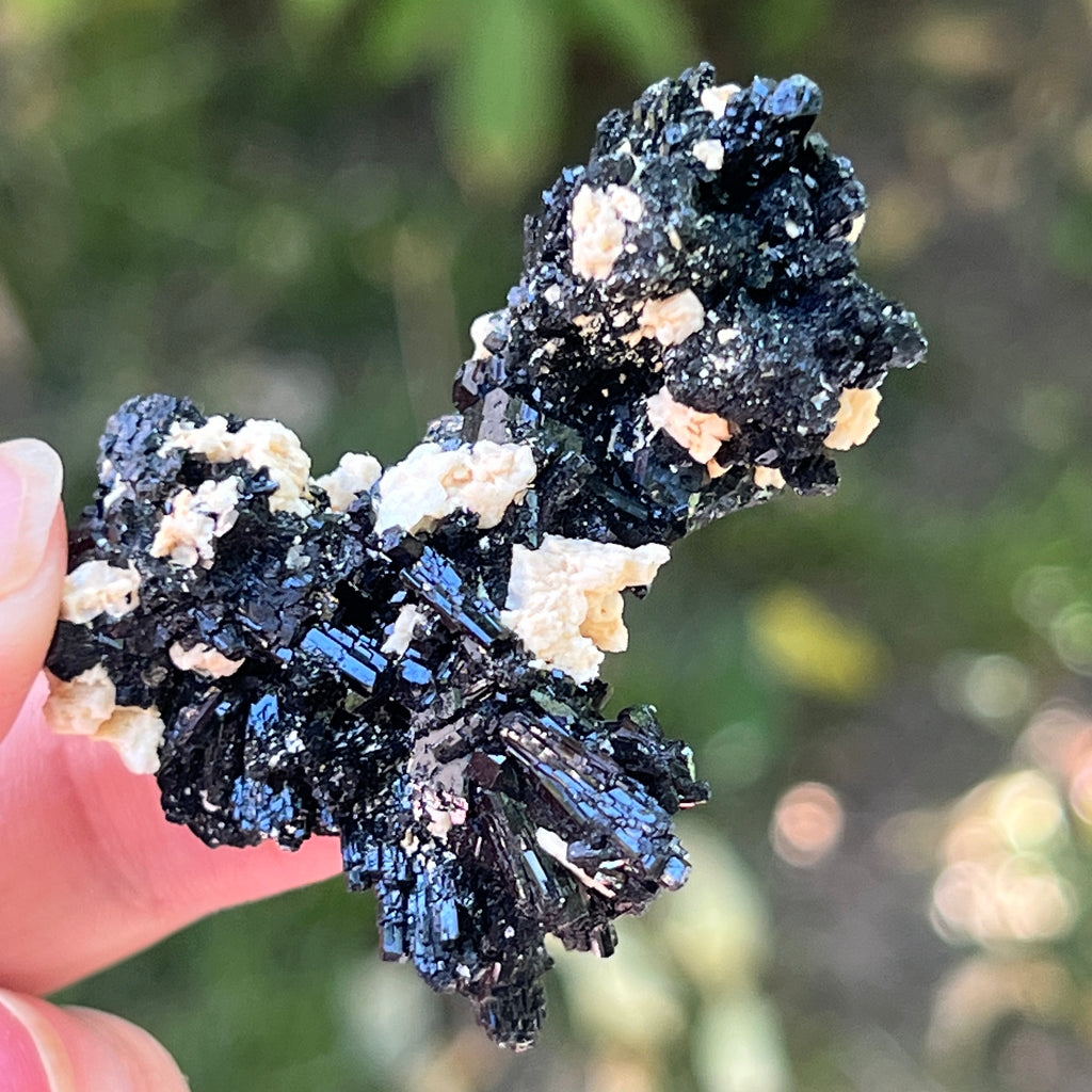 Cluster turmalina neagra model 18 din Erongo, Namibia, pietre semipretioase - druzy.ro 1 
