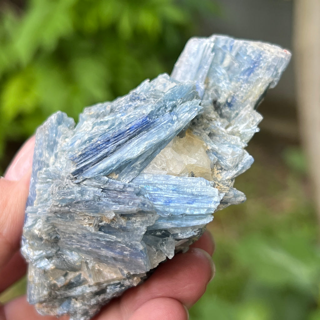 Kianit albastru (Cianit) piatra bruta din Zimbabwe model 13, pietre semipretioase - druzy.ro 5 