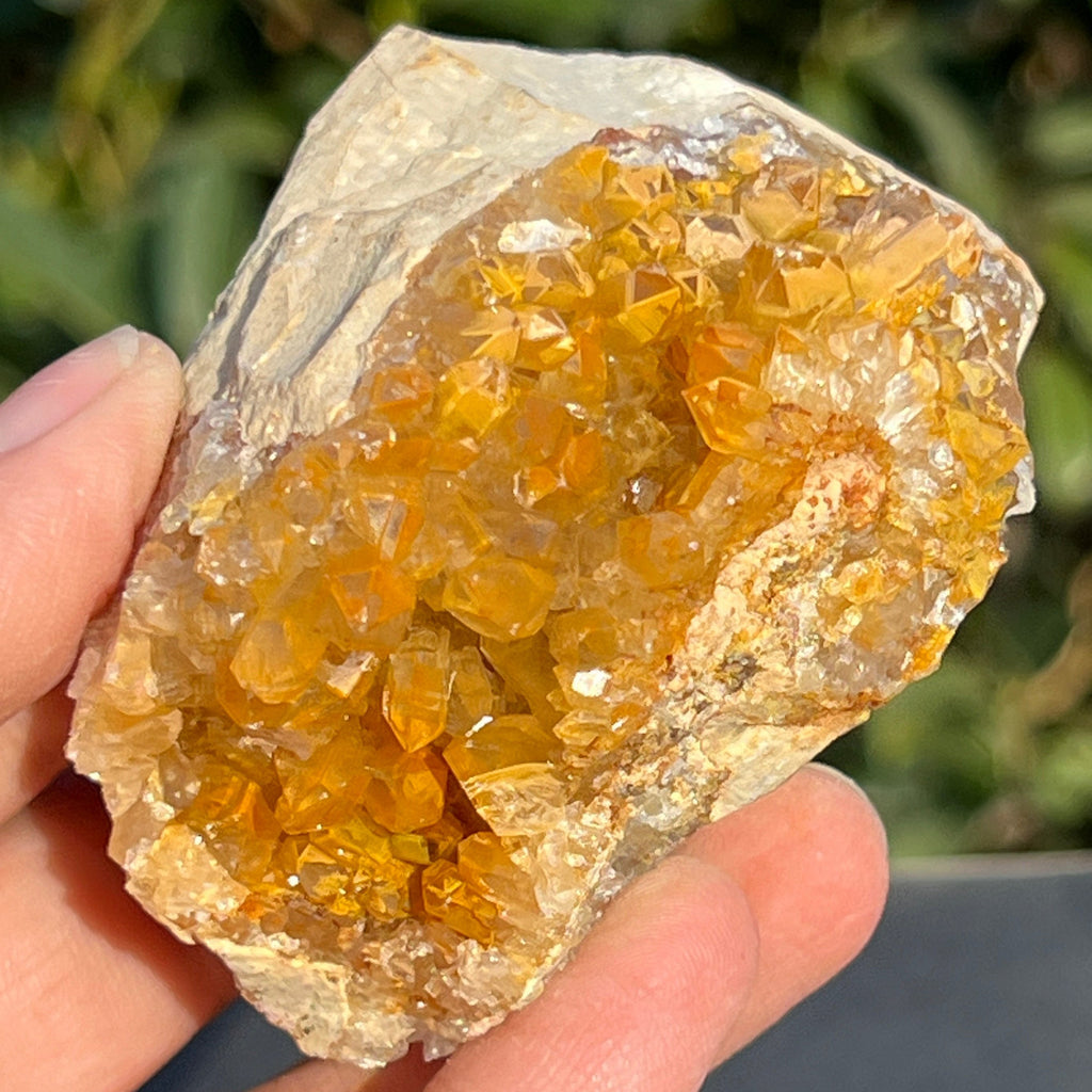 Cluster cuart lamaie Zambia, golden healer model 50, pietre semipretioase - druzy.ro 1 