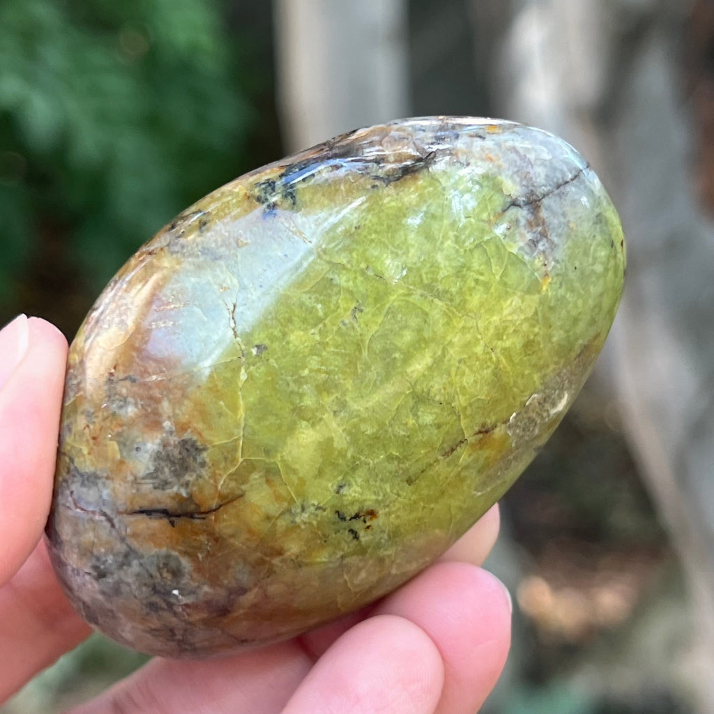 Opal verde palmstone m5, pietre semipretioase - druzy.ro 1 