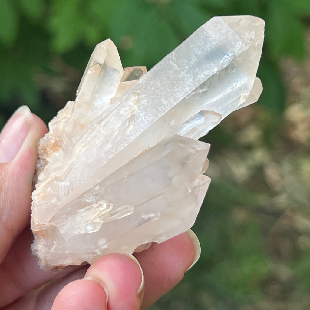 Cluster cuart incolor, floare de mina m19, pietre semipretioase - druzy.ro 7 