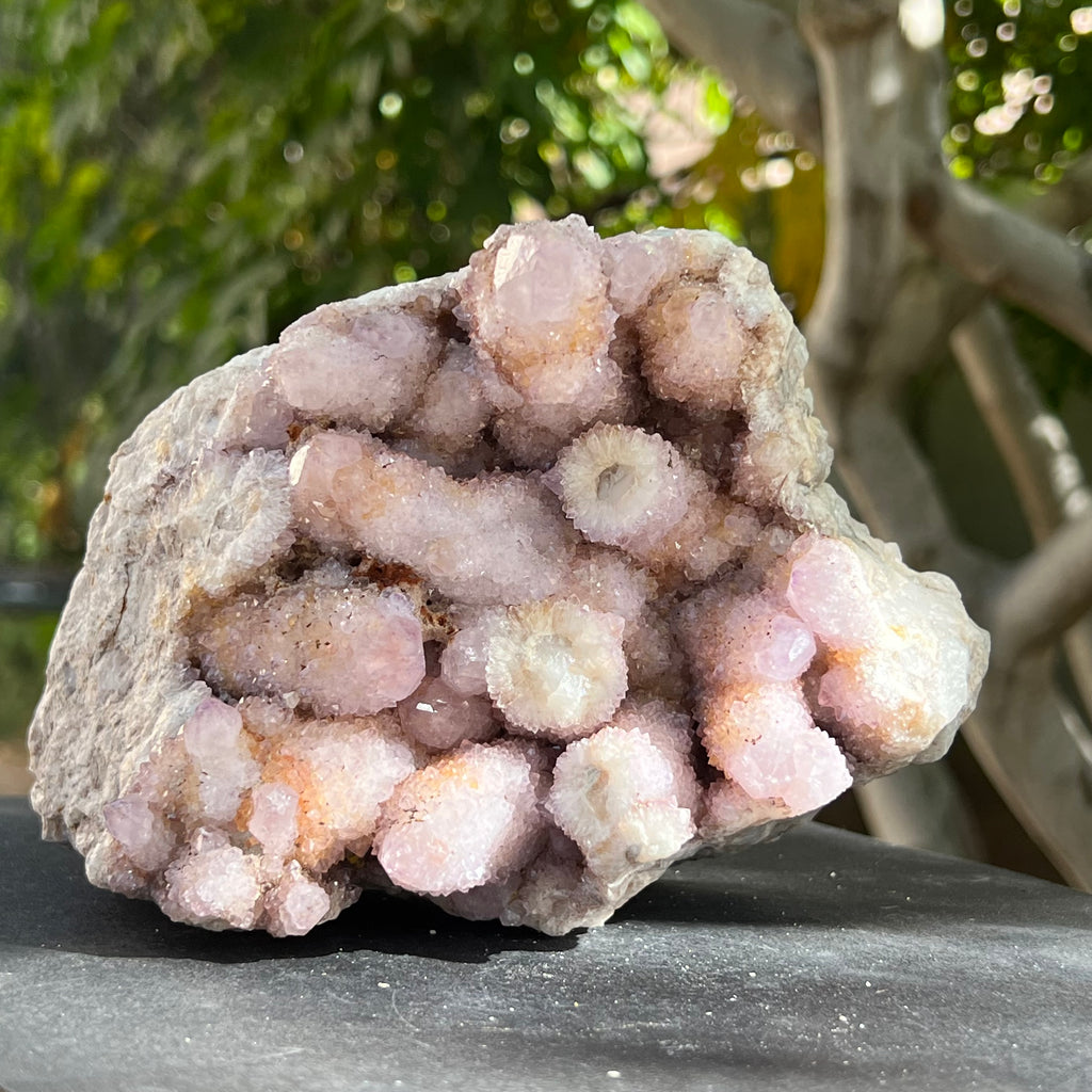 Cluster XL cuart cactus ametist liliac / cuart spirit model 18, druzy.ro, cristale 7