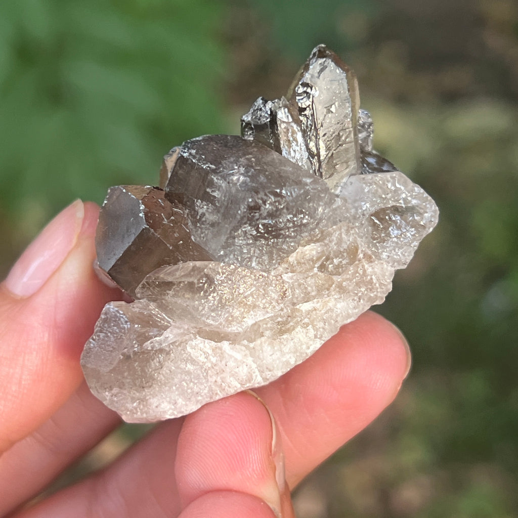 Cluster cuart fumuriu din Brazilia m12, pietre semipretioase - druzy.ro 3 
