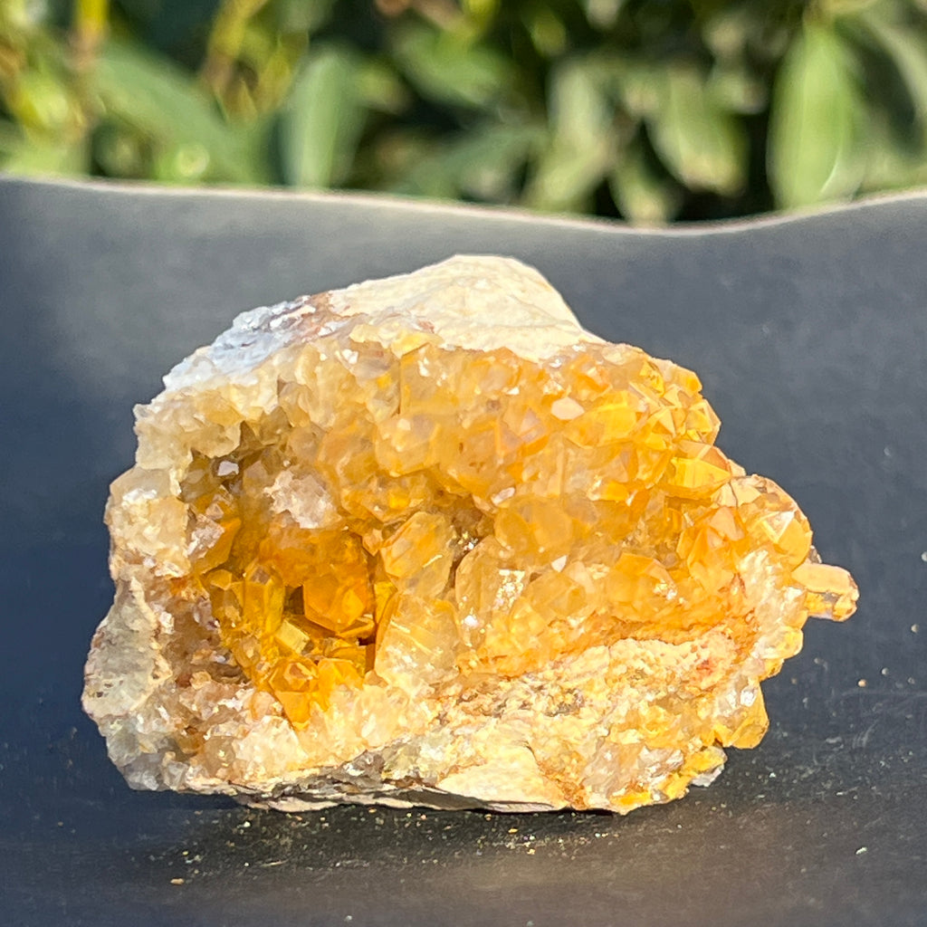 Cluster cuart lamaie Zambia, golden healer model 50, pietre semipretioase - druzy.ro 8 