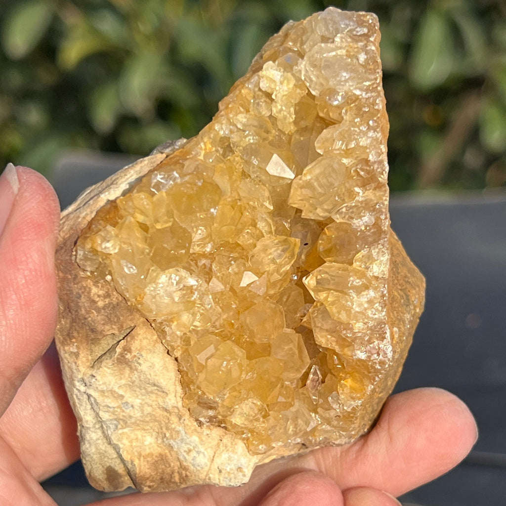 Cluster cuart lamaie Zambia, golden healer model 48, pietre semipretioase - druzy.ro 1 