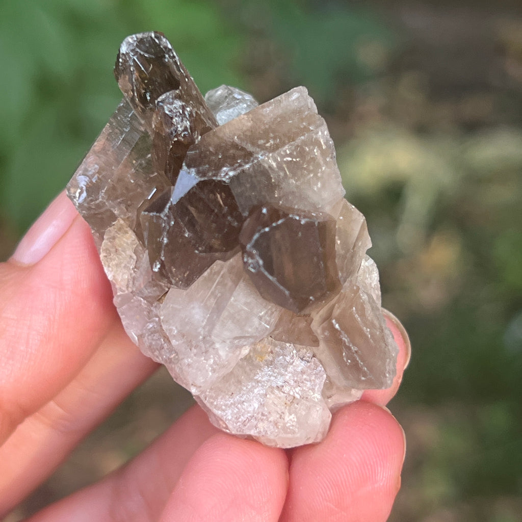 Cluster cuart fumuriu din Brazilia m12, pietre semipretioase - druzy.ro 4 