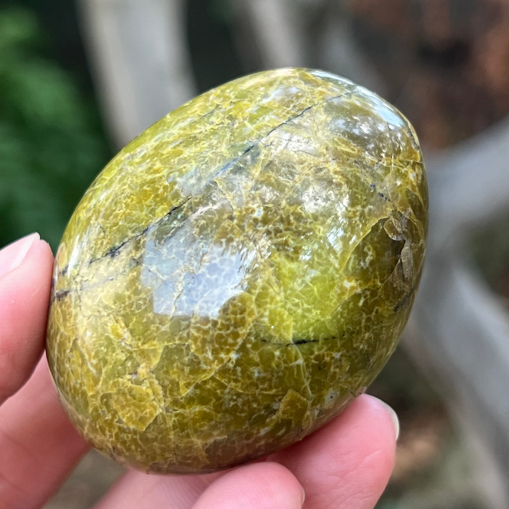 Opal verde palmstone m4, pietre semipretioase - druzy.ro 3 