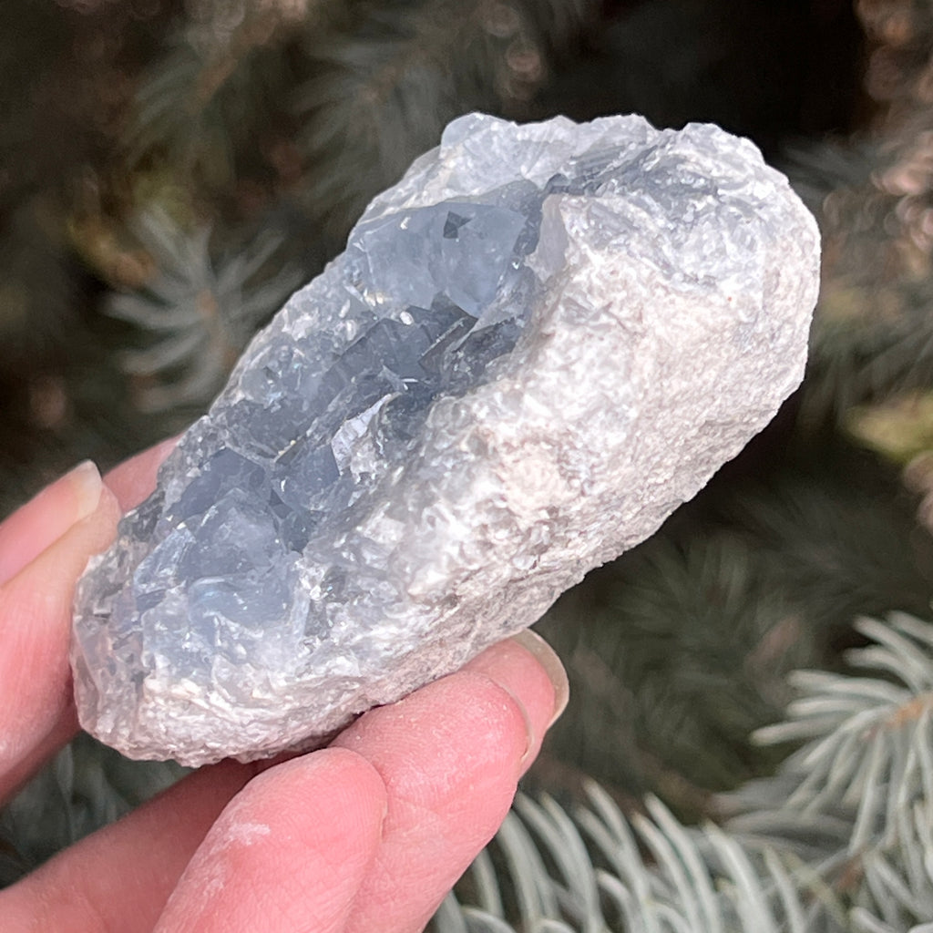 Celestit / celestina cluster m22, pietre semipretioase - druzy.ro 3 