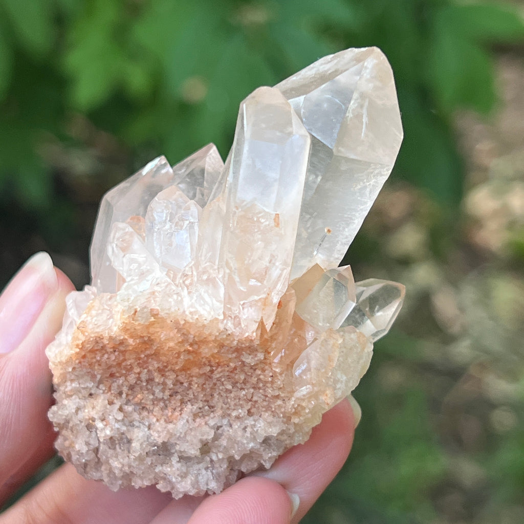Cluster cuart incolor, floare de mina m19, pietre semipretioase - druzy.ro 4 
