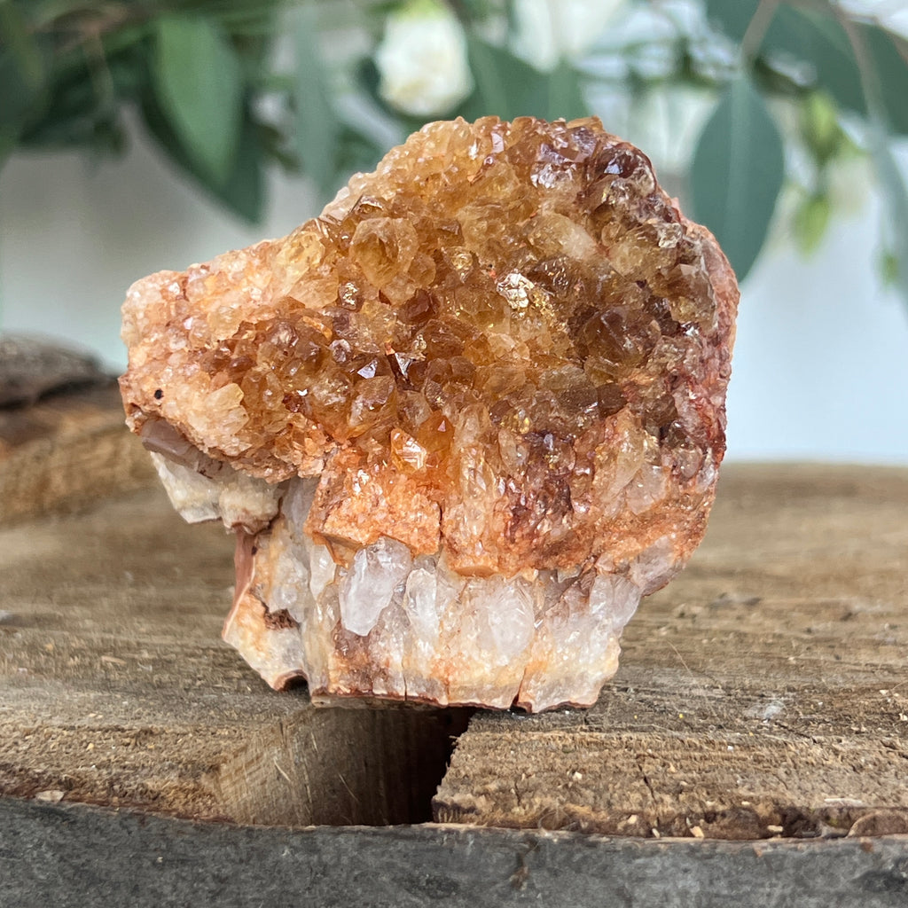 Cluster de Citrin tratat termic| Model 1, pietre semipretioase - druzy.ro 4 