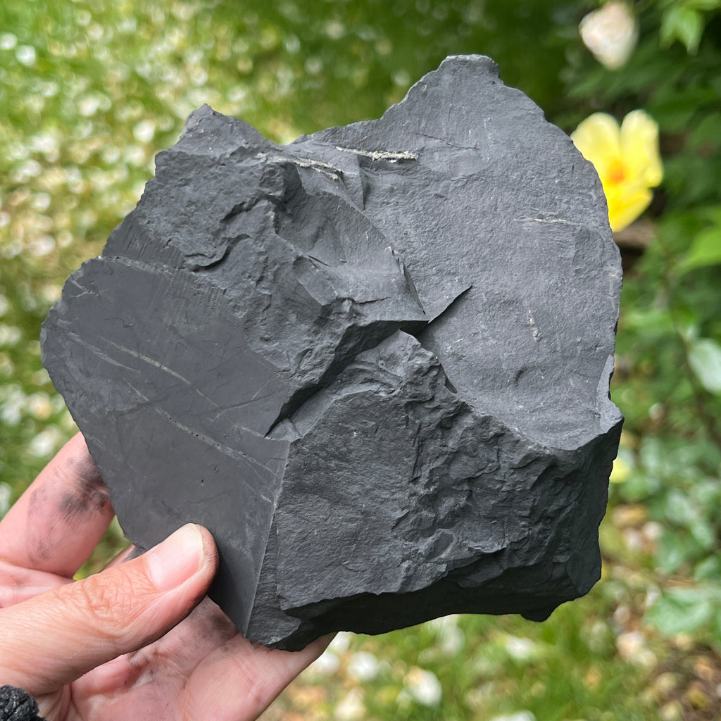 Shungit piatra bruta XXL model 5, pietre semipretioase - druzy.ro 1 