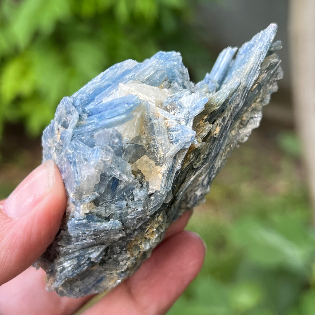 Kianit albastru (Cianit) piatra bruta din Zimbabwe model 13, pietre semipretioase - druzy.ro 4 