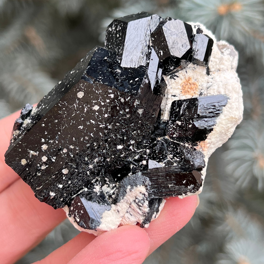 Cluster turmalina neagra model 1 din Erongo, Namibia, druzy.ro, cristale 6