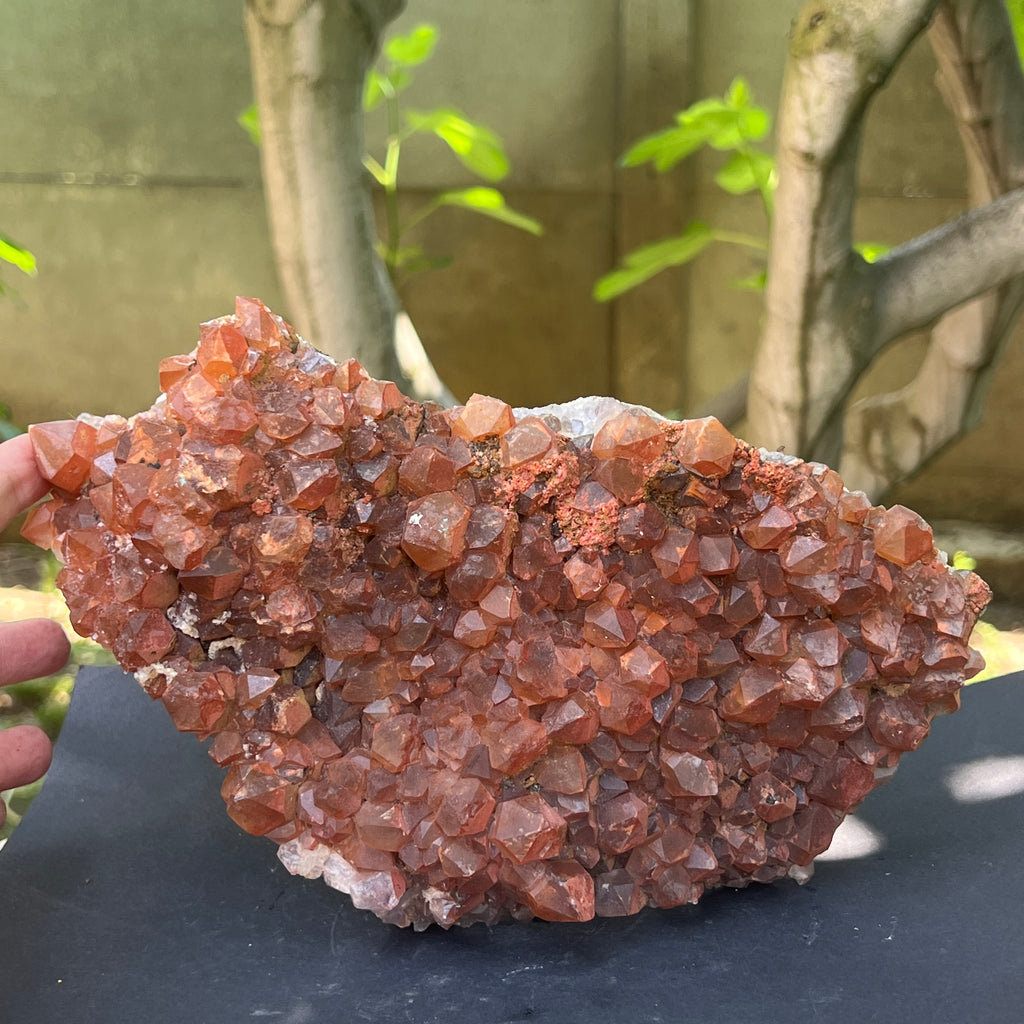 Cluster cuart rosu hematoid | Model XL3, pietre semipretioase - druzy.ro 1 