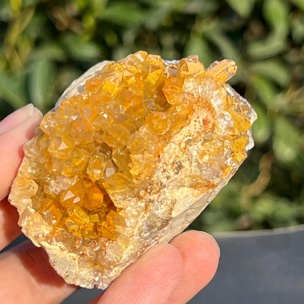 Cluster cuart lamaie Zambia, golden healer model 50, pietre semipretioase - druzy.ro 5 