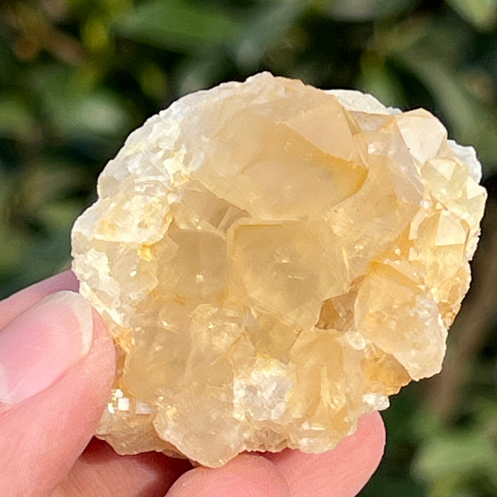 Cluster cuart lamaie Zambia, golden healer model 55, pietre semipretioase - druzy.ro 11 