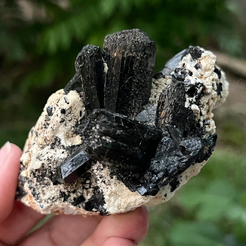 Cluster turmalina neagra model 1 din Erongo, Namibia, pietre semipretioase - druzy.ro 4 