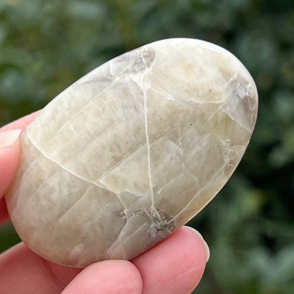 Palmstone piatra lunii cu garnierit m28, pietre semipretioase - druzy.ro 1 