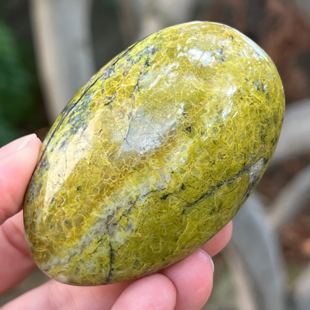 Opal verde palmstone m7, pietre semipretioase - druzy.ro 5 