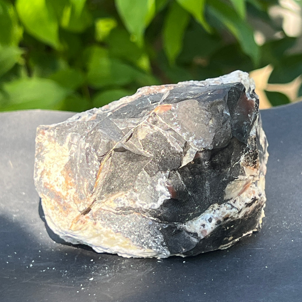 Onix negru piatra bruta India model 1, pietre semipretioase - druzy.ro 6 
