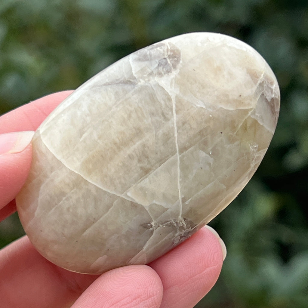 Palmstone piatra lunii cu garnierit m28, pietre semipretioase - druzy.ro 2 