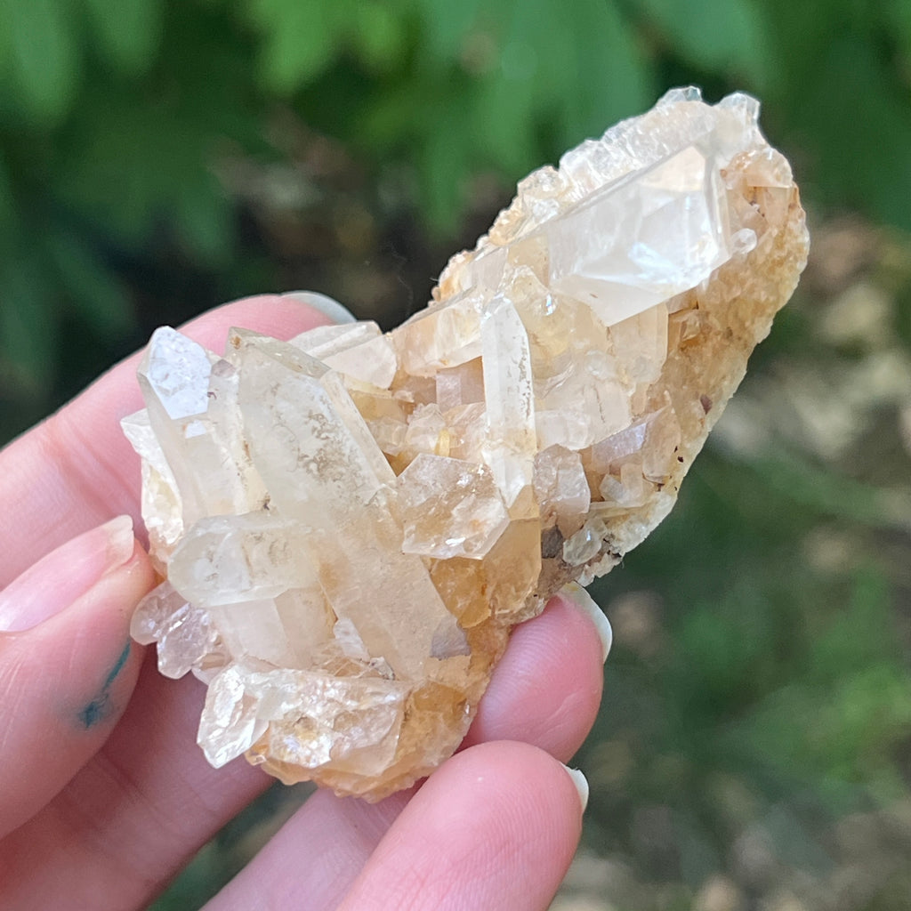 Cluster cuart incolor, floare de mina m14, pietre semipretioase - druzy.ro 2 
