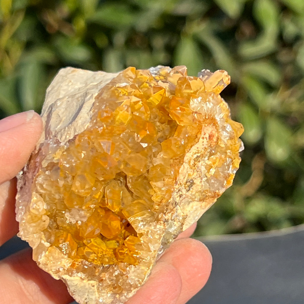 Cluster cuart lamaie Zambia, golden healer model 50, pietre semipretioase - druzy.ro 6 