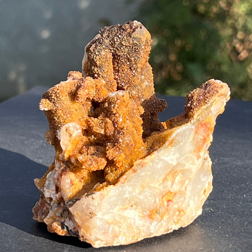 Cluster cuart lamaie, golden healer 4A/4, Africa de Sud, druzy.ro, cristale 1