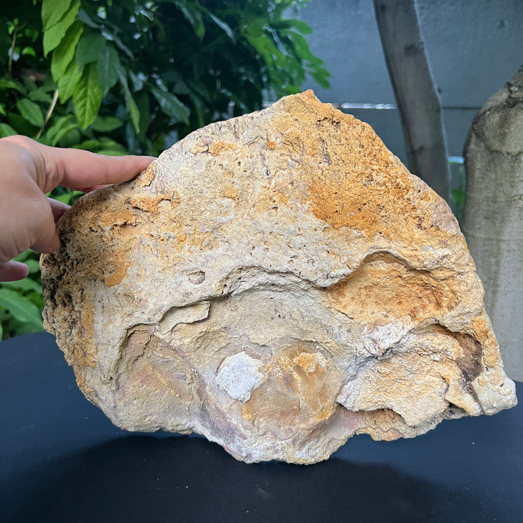 Cuarț botrioidal cu suprafață druzy – sculptură naturală în alb perlat -model 2, pietre semipretioase - druzy.ro 5 