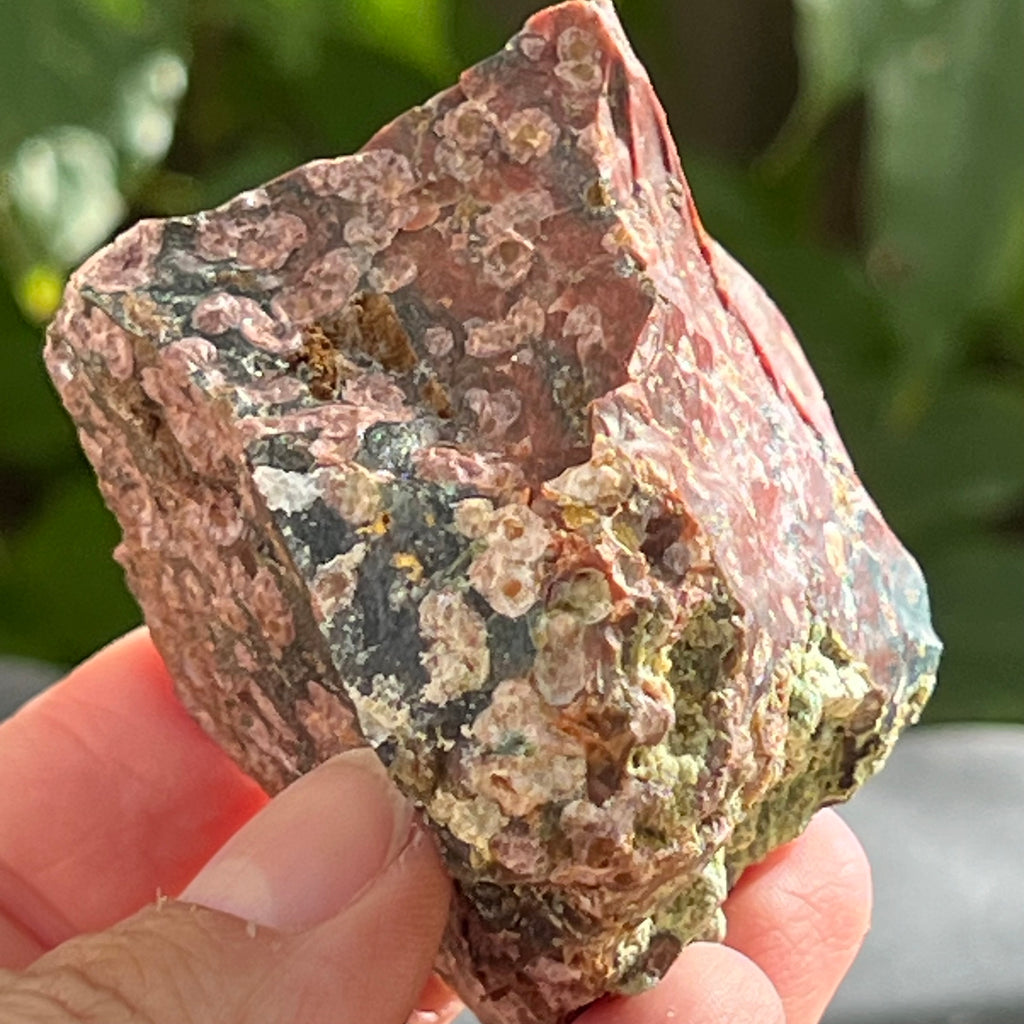 Sardonix India piatra bruta m15, pietre semipretioase - druzy.ro 7 