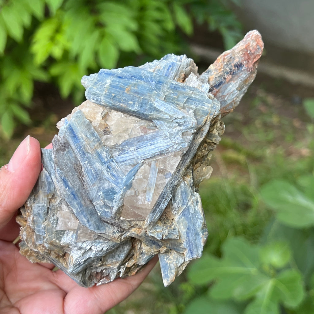 Kianit albastru (Cianit) piatra bruta din Zimbabwe model c2/1, pietre semipretioase - druzy.ro 1 