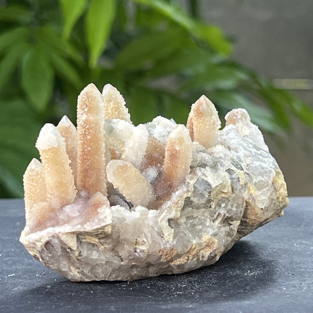 Cluster cuart spirit stalactit | Model 10, pietre semipretioase - druzy.ro 1 