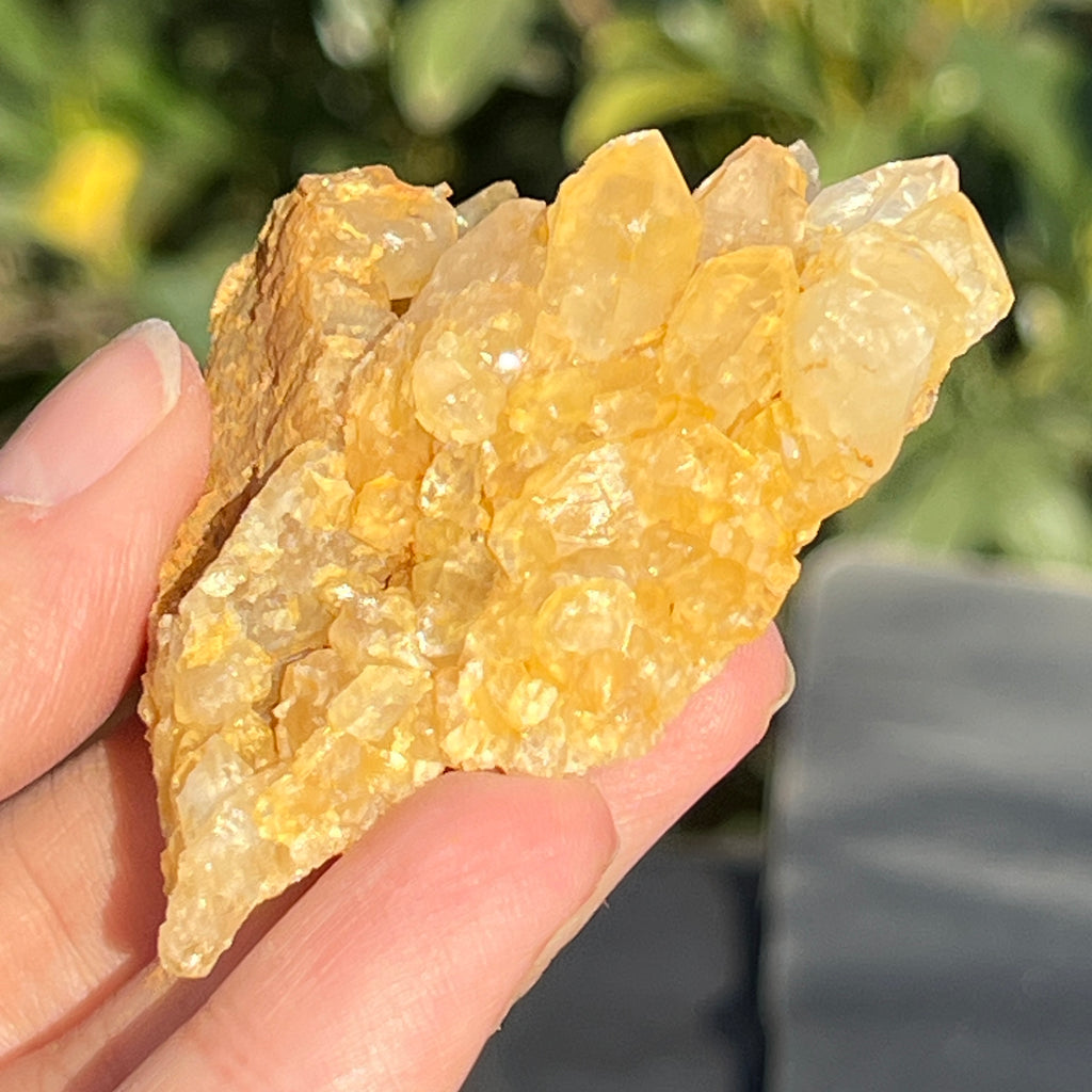 Cluster cuart lamaie Zambia, golden healer model 42, pietre semipretioase - druzy.ro 2 