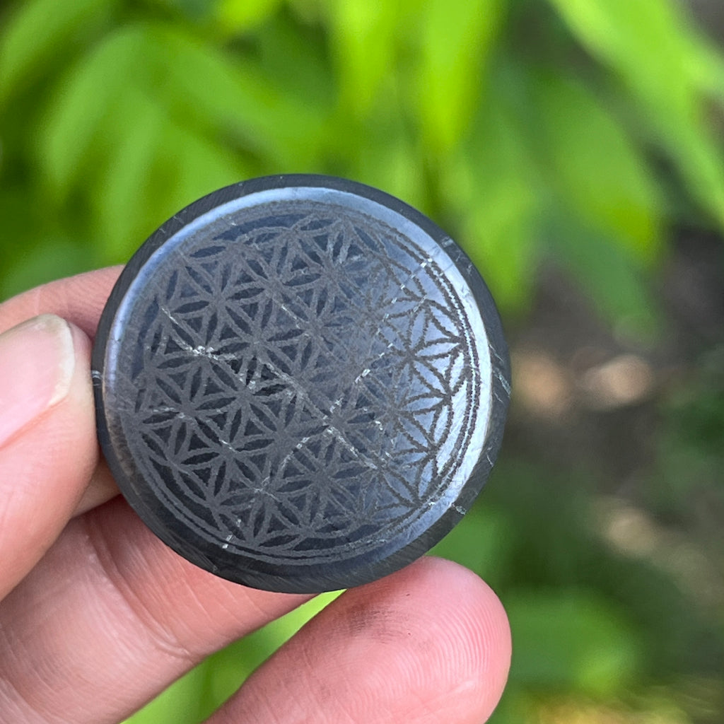 Disc din Shungit adeziv Flower of Life, pietre semipretioase - druzy.ro 5 