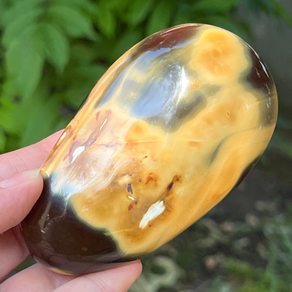 Agat Orca palmstone model 10, pietre semipretioase - druzy.ro 1 